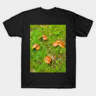 Fairy Circle T-Shirt